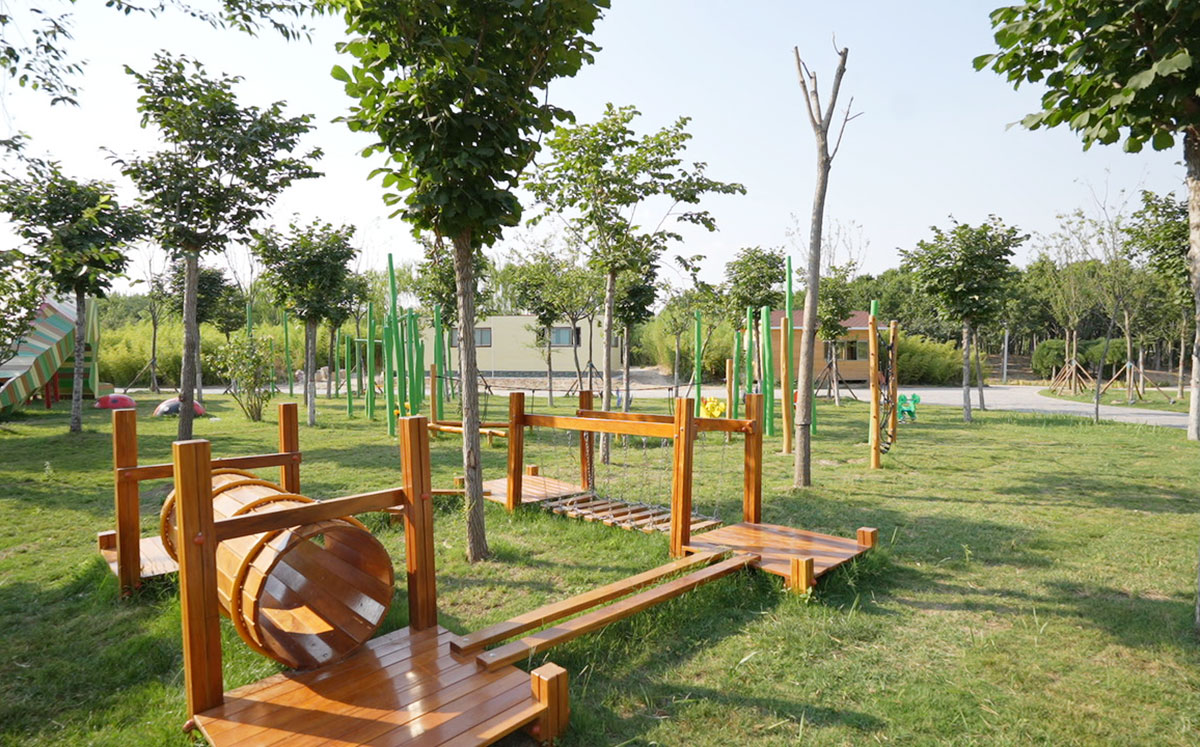 C2042T01.jpg